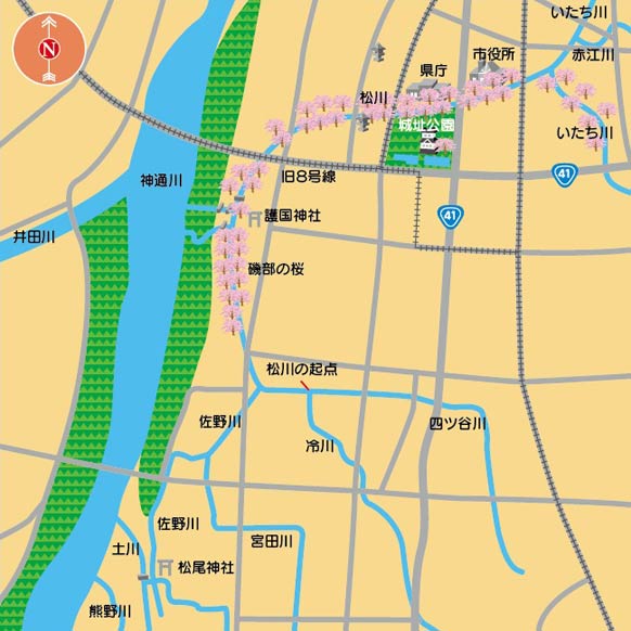 松川の桜の分布、拡大