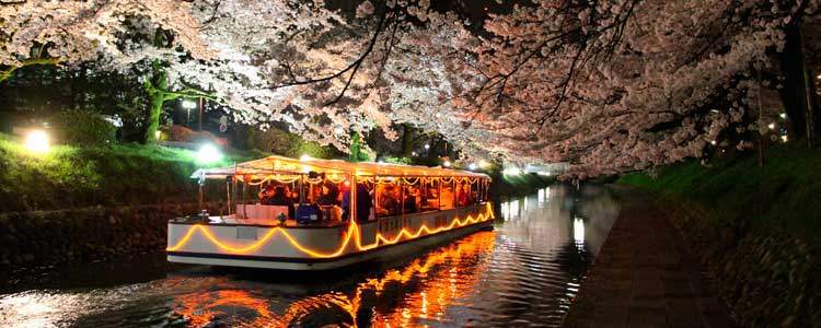 富山観光遊覧船（松川遊覧船）夜桜クルーズ