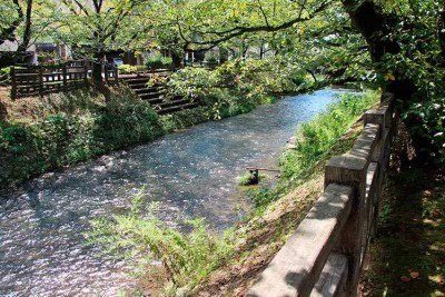 松川の上流の美しい景色